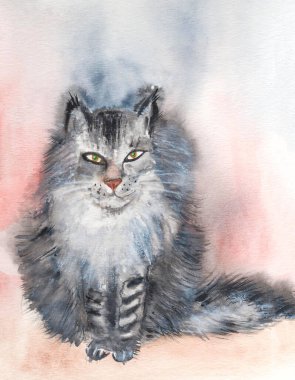 Kedi suluboya portre. Sevimli illüstrasyon.