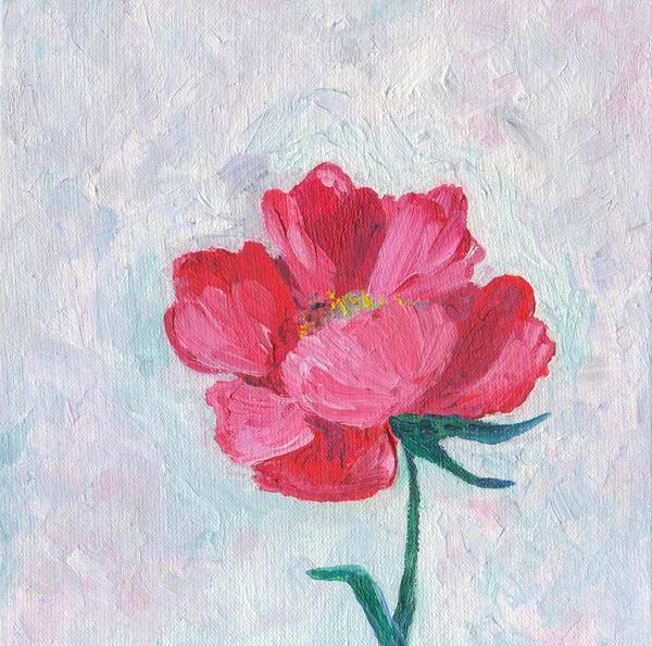 Beautiful Peony Flower Oil Painting Canvas — Stock Photo, Image