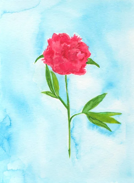 Ręcznie Malowany Kwiat Piwonii Malarstwo Artystyczne — Zdjęcie stockowe