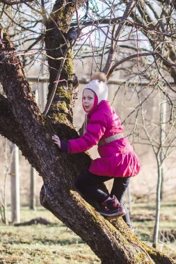 Bahar bahçesindeki ağaca tırmanan mutlu küçük kız.