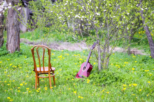 a beautiful garden chair with a guitar