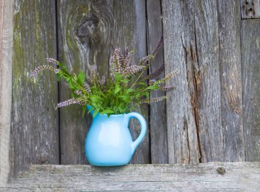 Bitki çayı için taze organik çiçek açan nane bitkileri. Şifalı bitkiler. Mavi seramik sürahi içinde bir buket tıbbi çiçek.