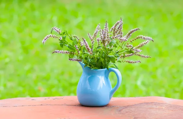Frische Biologisch Blühende Minzpflanzen Für Kräutertee Heilkräuter Strauß Medizinischer Blumen — Stockfoto