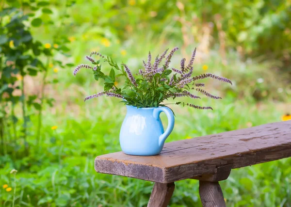 Frische Biologisch Blühende Minzpflanzen Für Kräutertee Heilkräuter Strauß Medizinischer Blumen — Stockfoto