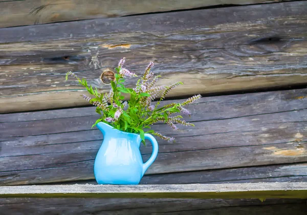 Fresh Organic Flowering Mint Plants Herbal Tea Medical Herbs Bouquet — Stock Photo, Image