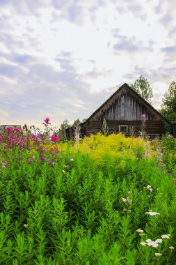 Kırsal alanda eski bir kulübe var. Letonya, Doğu Avrupa 'da manzara yaz manzarası.