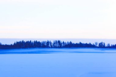 Kırsal kesimde kış manzarası. Letonya, Doğu Avrupa.