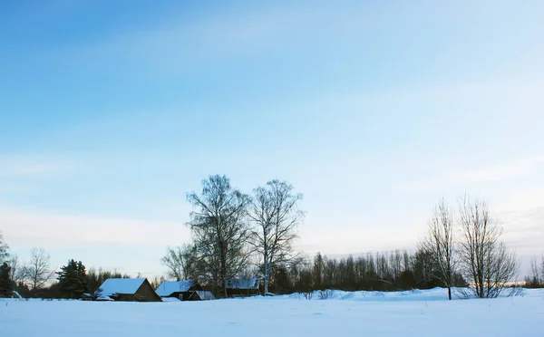 田舎の冬の風景 ラトビア 東ヨーロッパ — ストック写真