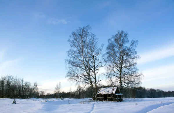 Kırsal Kesimde Kış Manzarası Letonya Doğu Avrupa — Stok fotoğraf