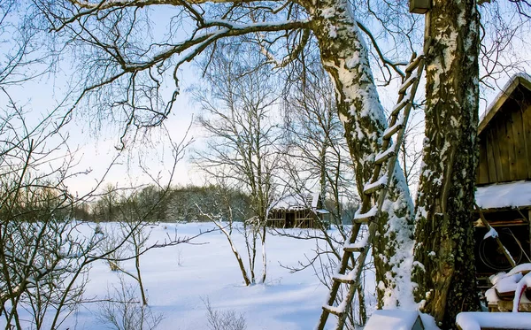 Kırsal Kesimde Kış Manzarası Letonya Doğu Avrupa — Stok fotoğraf