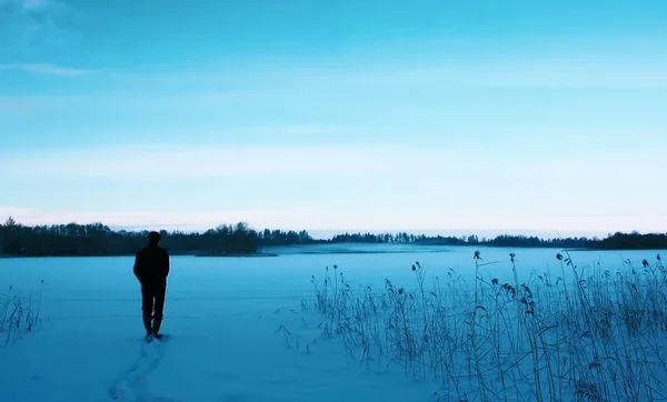 Paisagem Inverno Campo Letónia Europa Oriental — Fotografia de Stock