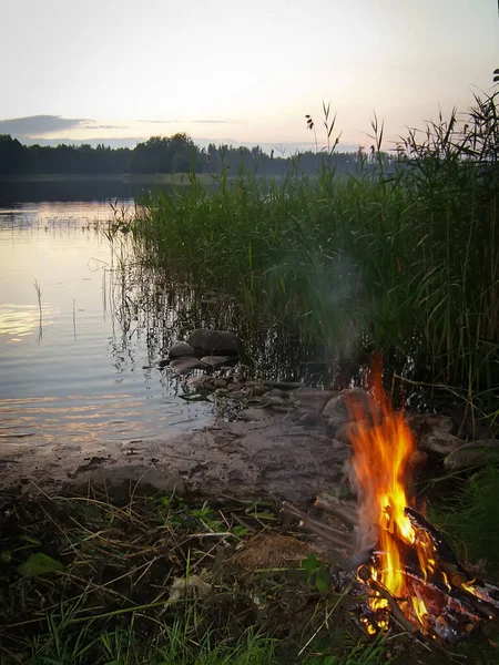 Bonfire on the lake coast at night.