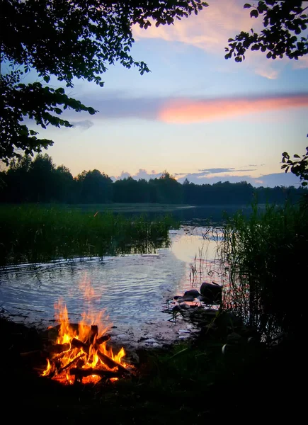 Bonfire on the lake coast at night.