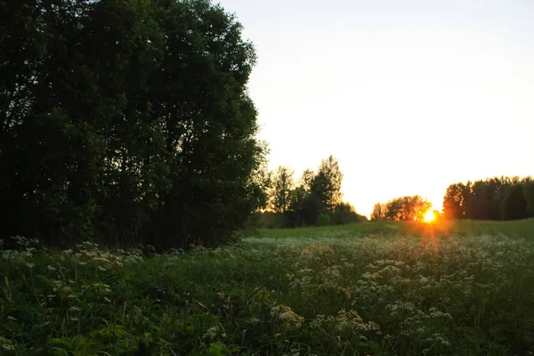 乡村日落的风景 拉脱维亚 东欧的风景夏季自然景观 — 图库照片
