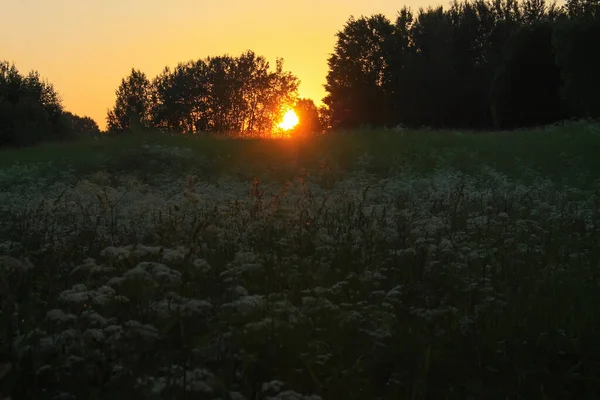 Sonnenuntergangslandschaft Auf Dem Land Malerische Sommer Natur Ansicht Lettland Osteuropa — Stockfoto