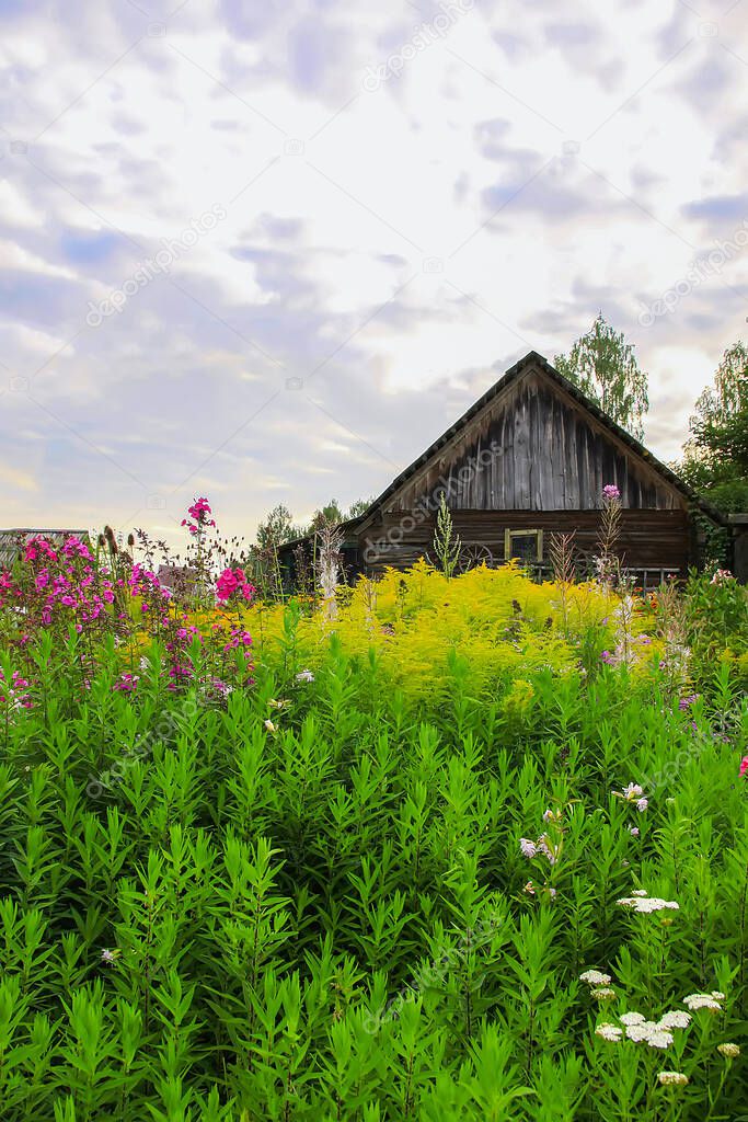 Landscape in the countryside with old shed. Scenic summer nature view in Latvia, East Europe.