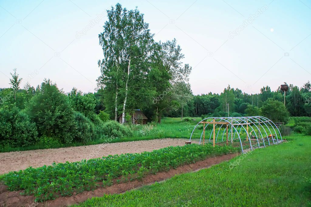 Landscape in the countryside. Scenic summer nature view in Latvia, East Europe.
