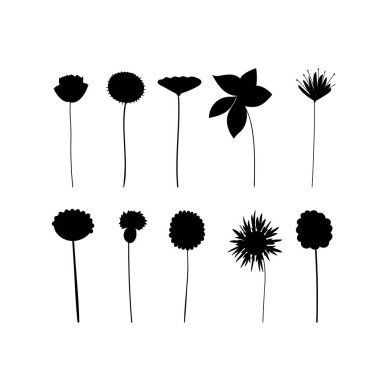 Set of the different flowers and plants. Vector floral design elements. Black silhouettes. 