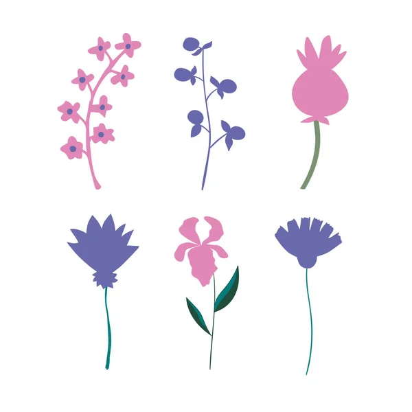 Conjunto Las Diferentes Flores Plantas Elementos Diseño Floral Vectorial — Archivo Imágenes Vectoriales