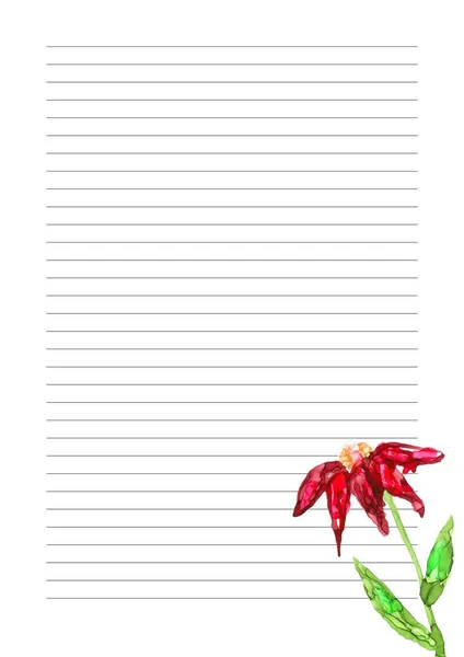 Paper Sheet Design Empty Page Text Message Writing Paper Scrapbook — Stock Fotó