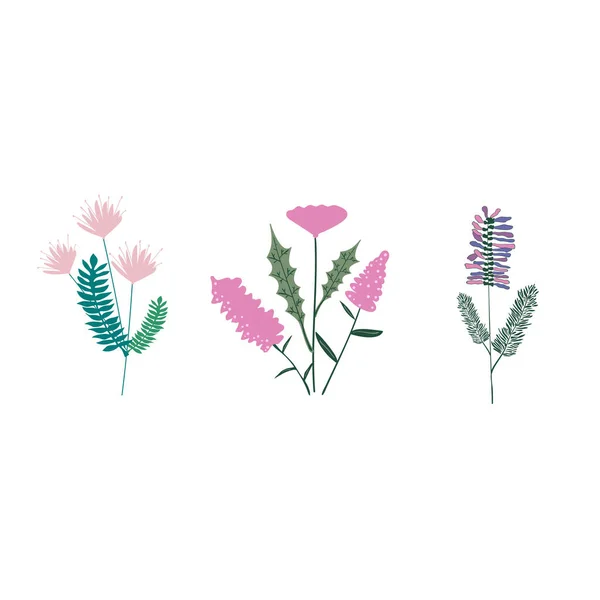 Set Flowers Leaves Vector Illustration — Archivo Imágenes Vectoriales