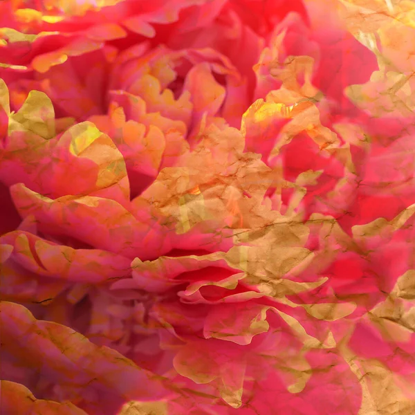 Abstract Floral Petals Paper Background Copy Space — ストック写真