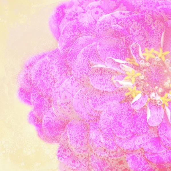 Abstract Floral Petals Paper Background Copy Space — Foto de Stock