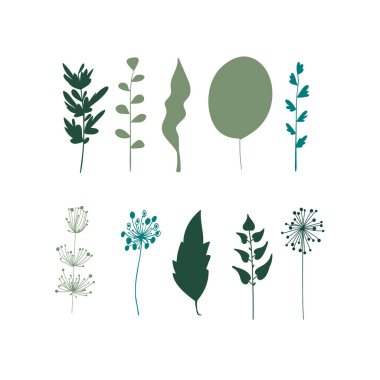 Set of different green leaves. Vector illustration. 