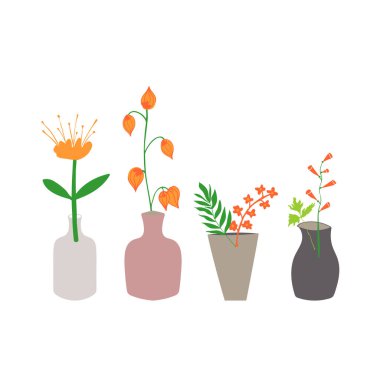 Vazodaki bitkilerdeki farklı çiçeklerden oluşan bir set. Vektör çiçek tasarımı ögesi. 