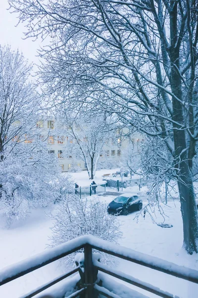 Snow Covered Trees Urban Park — ストック写真