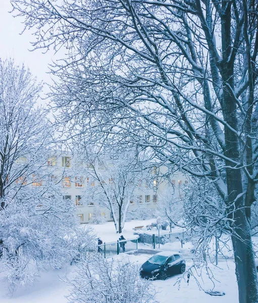 Snow Covered Trees Urban Park — ストック写真