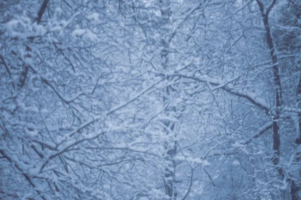 Niewyraźne Tło Zima Natura — Zdjęcie stockowe