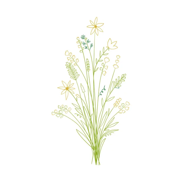 Eléments Floraux Sur Fond Blanc Illustration Vectorielle — Image vectorielle
