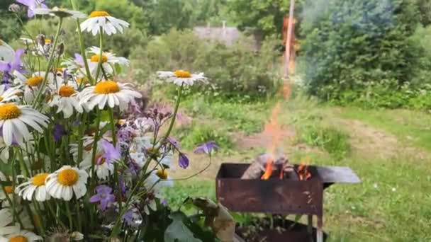 Zavřít Pohled Divoké Květiny Hořícími Klády Grilu — Stock video