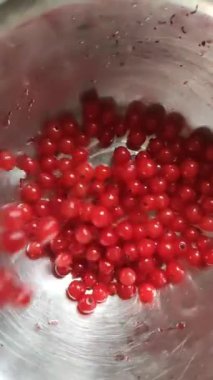 Olgun kırmızı frenk üzümü 
