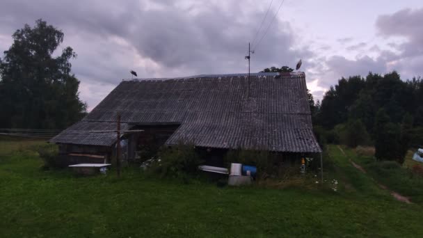 Уютный Загородный Дом Аистом Крыше — стоковое видео