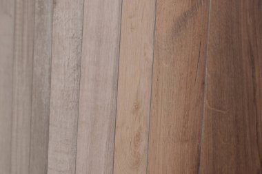 Arka planı yumuşatın. Döşeme ve iç dizayn için ahşap desenli laminat veya parke örnekleri. Ahşap zemin üretimi