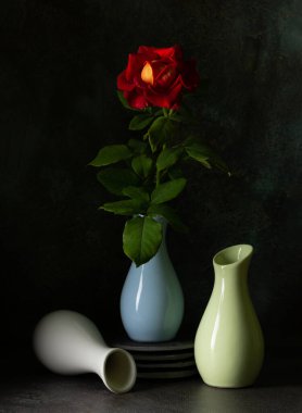 Karanlık arka planda güller olan yaratıcı natürmort hayat. Moda kompozisyon konsepti. Boşluğu kopyala. 