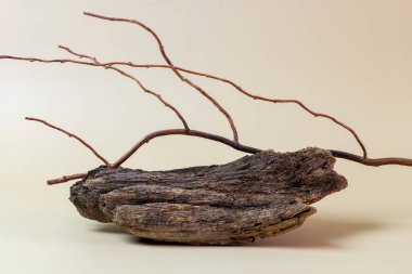 Ağaç kabuğunun ve kopyalama alanının yaratıcı bileşimi. Ürün için maket. Çevre dostu. Biyofilik tasarım. 