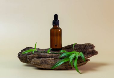 Dropper bottle mockup with bark tree and leaves on green background. Herbal cosmetics, natural organic cosmetic products, essential oil packaging design. Minimal concept with copy space.