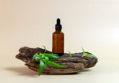 Aromatik yağ ya da serum içeren cam şişe. Kopya alanı olan ağaç kabuğu. Doğal organik kozmetik spa konsepti. Minimum konsept. Ürün için maket. Çevre dostu. Kahverengi arkaplan.