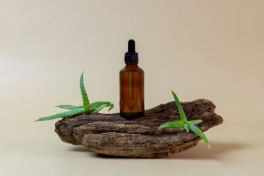 Ağaç kabuğu ile şişe maketi ve kahverengi arka planda aloe yaprakları. Bitkisel kozmetik ürünler, doğal organik kozmetik ürünler, temel yağ paketleme tasarımı. Kopyalama alanı olan en küçük konsept. 