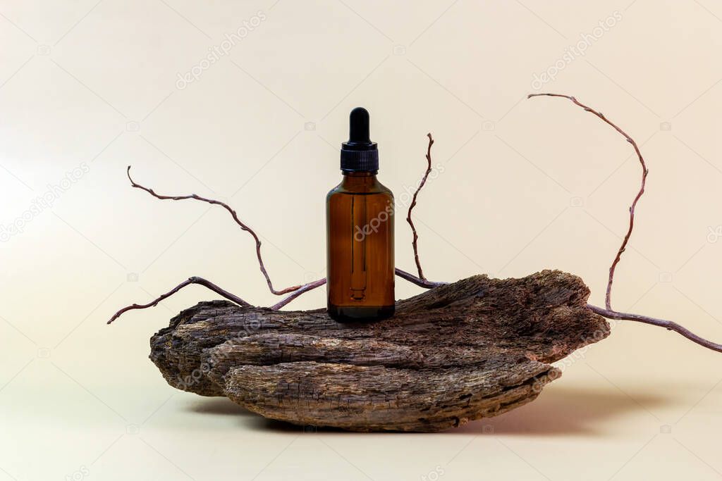 Glass bottles with aromatic oil or serum, bark tree with copy space. Natural organic cosmetic spa concept. Minimal concept. Mockup for product. Eco friendly. Brown background.