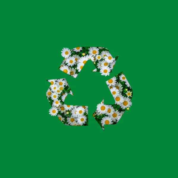 Contemporary art collage of arrows recycle symbol and chamomile flowers on a green background. Concept of saving the environment, planet and nature. Zero waste. Copy space.