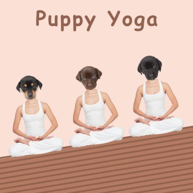 Yavru Yoga. Çağdaş sanat kolajı, üç kadının yoga yaptığı, nilüfer pozisyonunda oturan, köpek şekilli kafaları olan. Sağlıklı yaşam tarzı ve spor anlayışı.