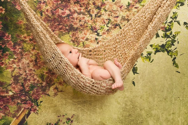 Cute 7 day old newborn baby boy relaxes in a hammock. — Stock Photo, Image