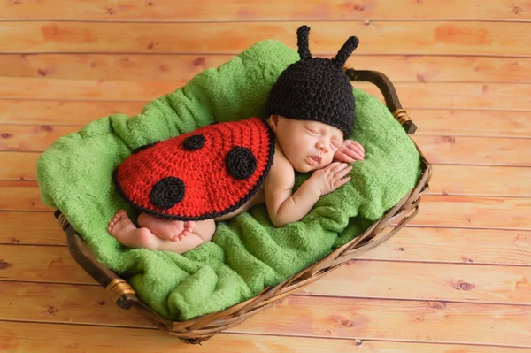 Newborn girl wearing a black and red crocheted ladybug costume and sleeping on a green blanket inside of a basket. — Stock Photo, Image