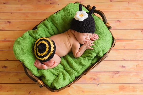 Dantelli siyah ve sarı yaban arısı kostümü giyen üç hafta yaşlı yeni doğmuş bebek kız. — Stok fotoğraf