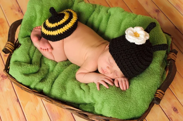 Três semanas de idade bebê recém-nascido menina vestindo um traje de abelha preto e amarelo malha . — Fotografia de Stock