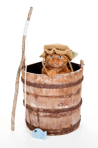 Orange Tabbykatt hatt virkade fiskare och sitter i en gammal, vittrade trä hink med en pinne metspö och virkad fisk. — Stockfoto